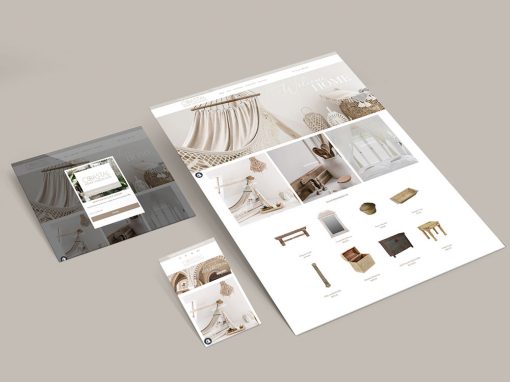 Shopify Website Design